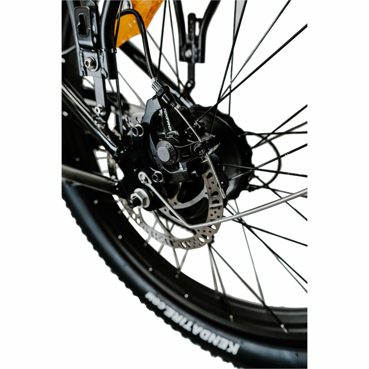 American Electric Steller 2021 - Electricridesonly.com