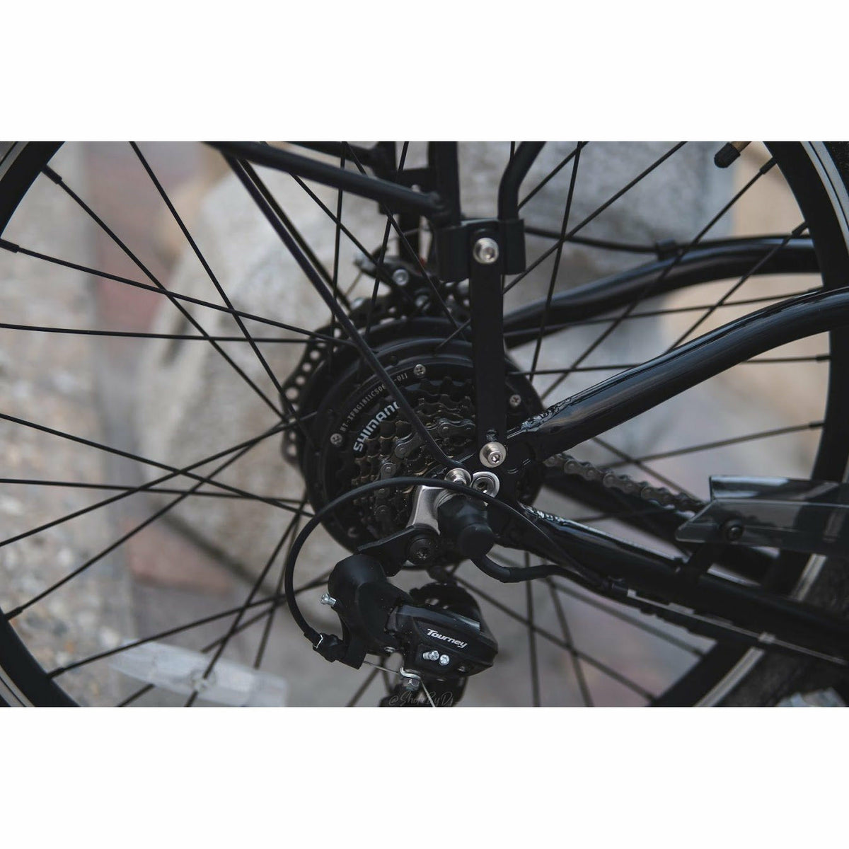 Veller 2021 Electric Cruiser - Electricridesonly.com