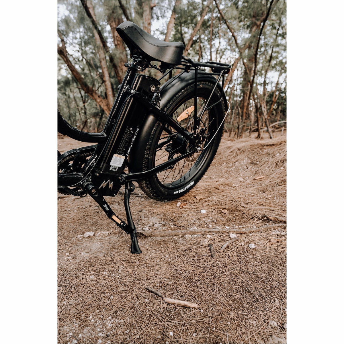 American Electric Steller 2021 - Electricridesonly.com