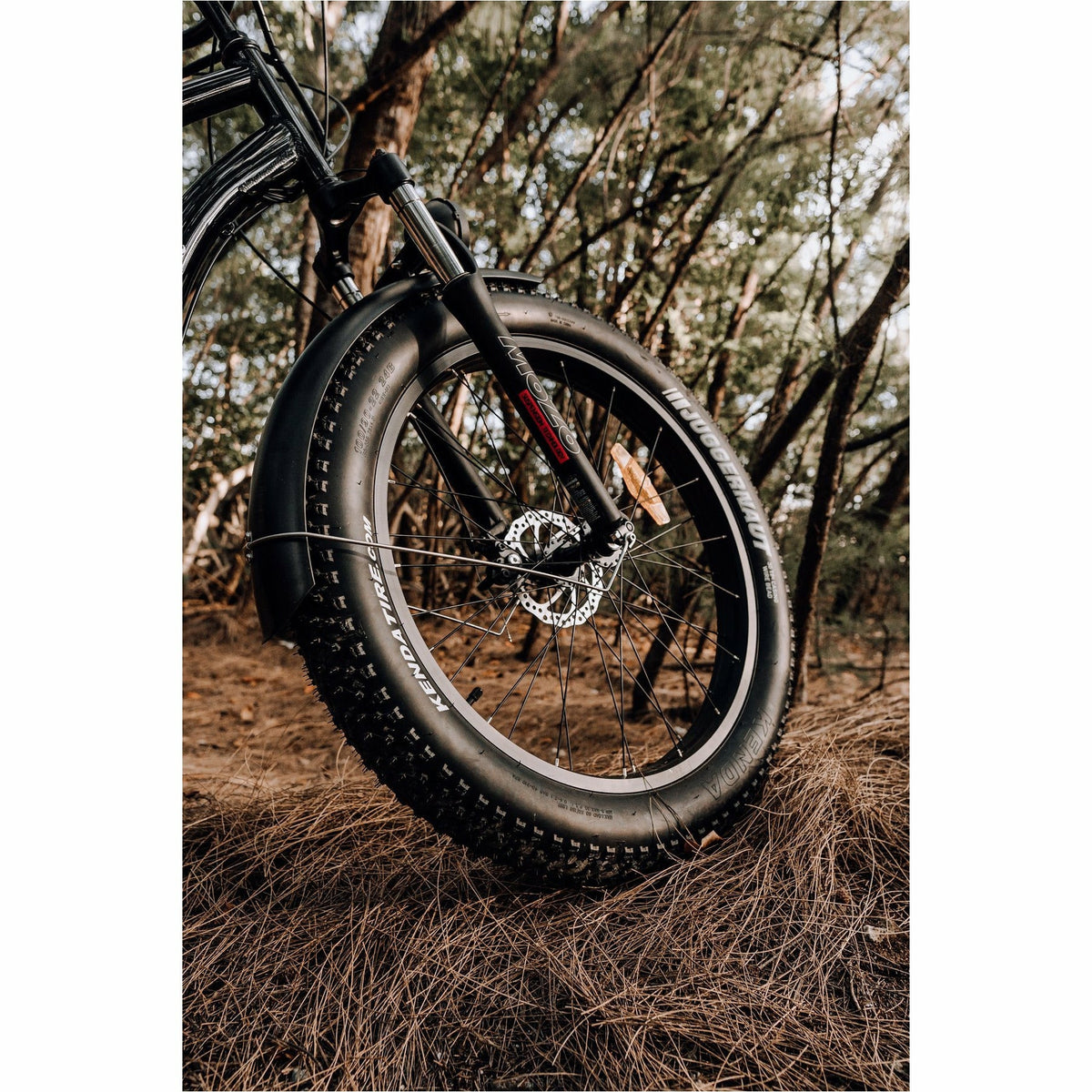 American Electric Steller 2021 - Electricridesonly.com