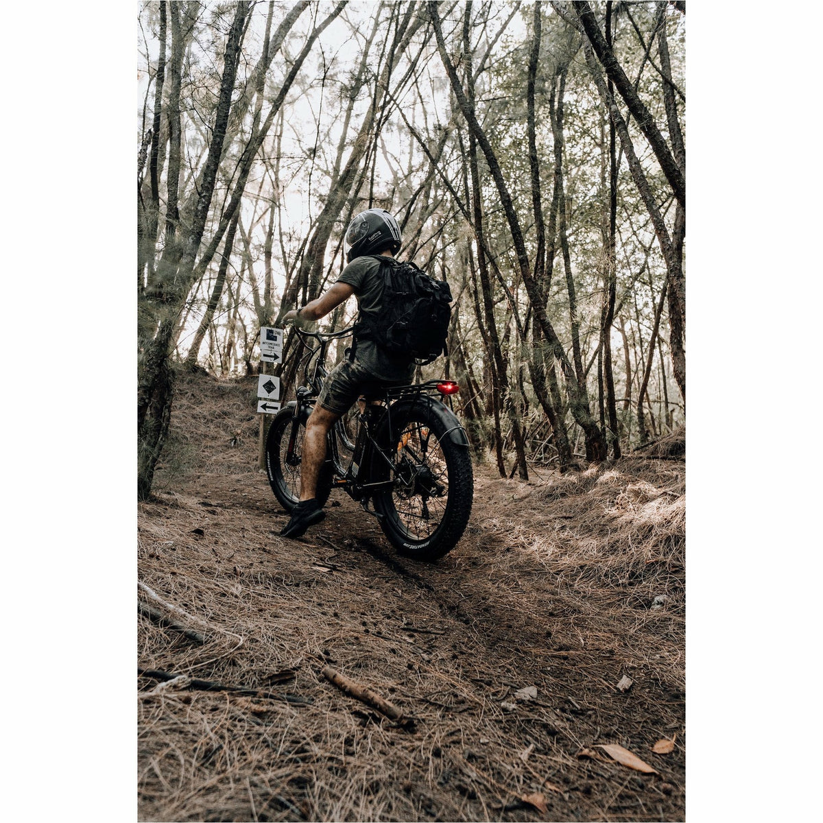 American Electric Steller 2021 - Electricridesonly.com