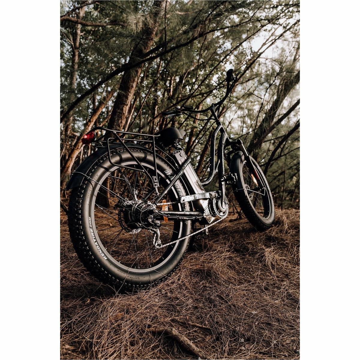 American Electric Steller 2021 - Electricridesonly.com