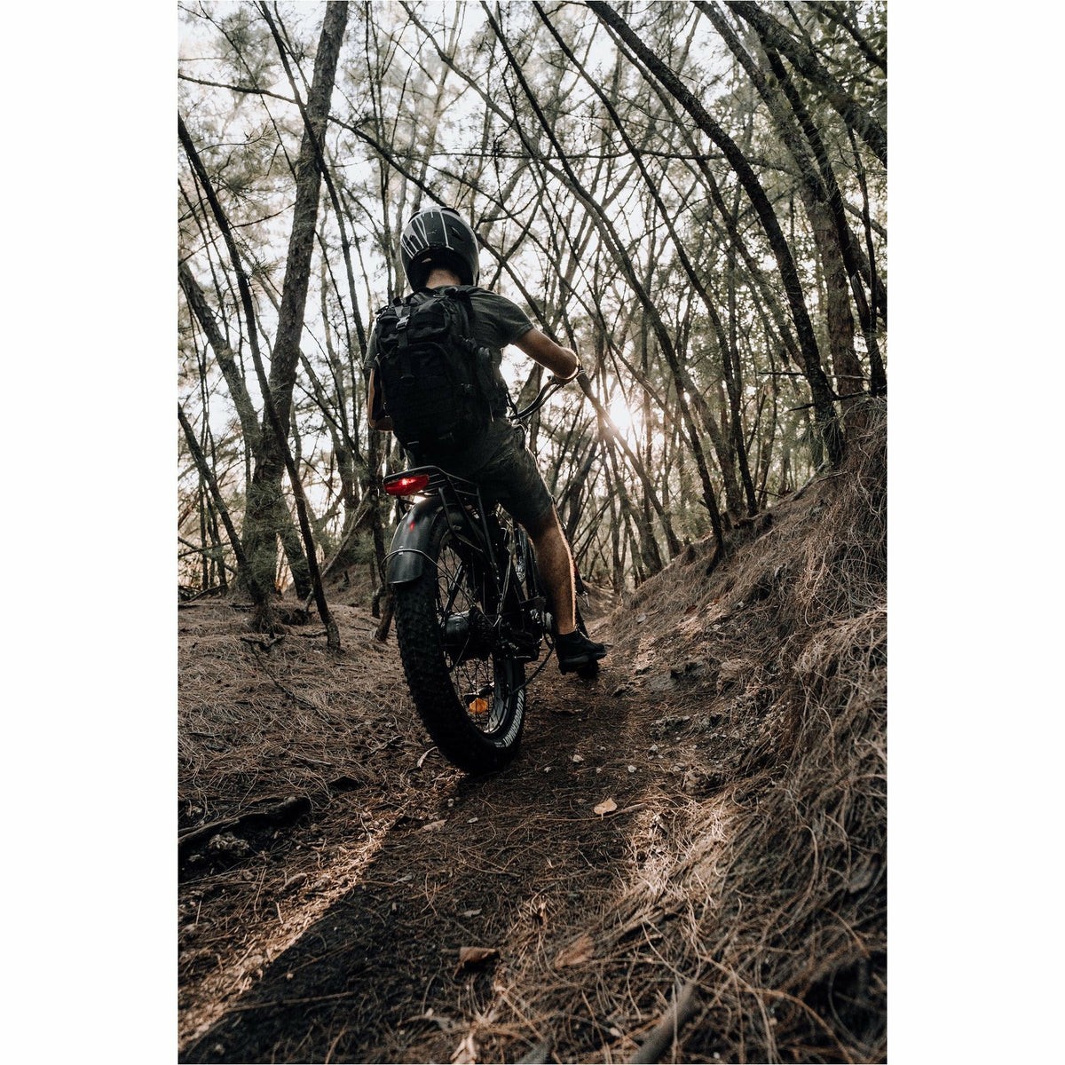 American Electric Steller 2021 - Electricridesonly.com