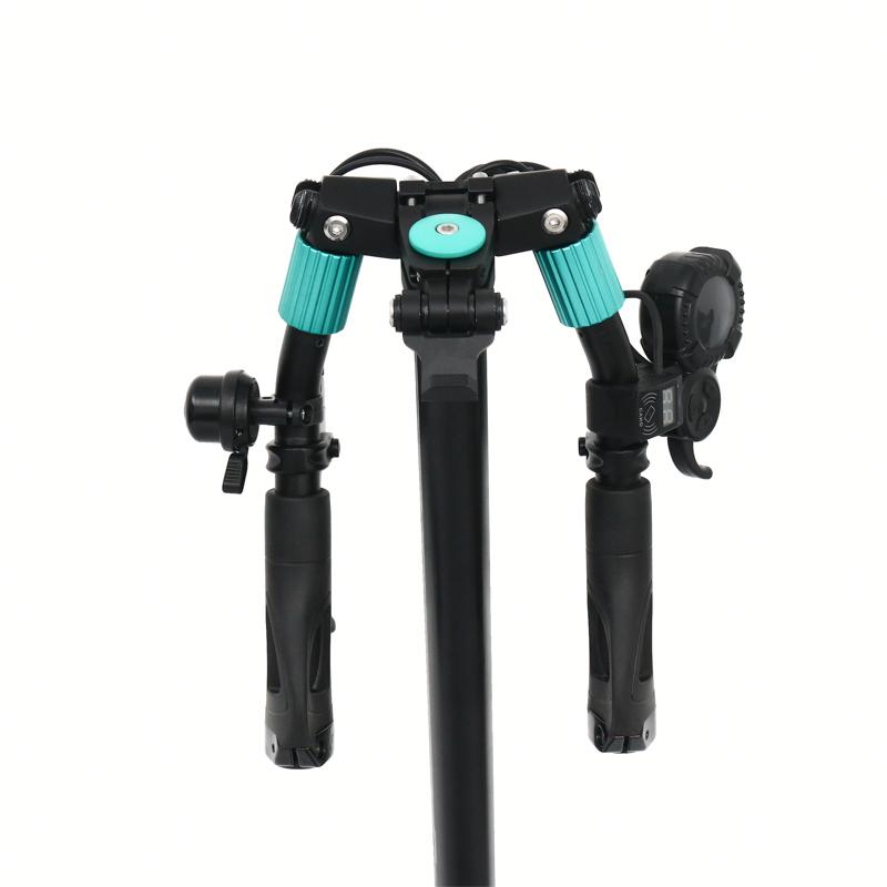 VSETT 9+ Dual Motor Electric Scooter - electricridesonly